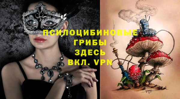 крисы Нефтегорск