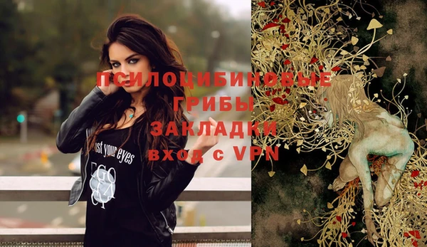 бошки Новокубанск