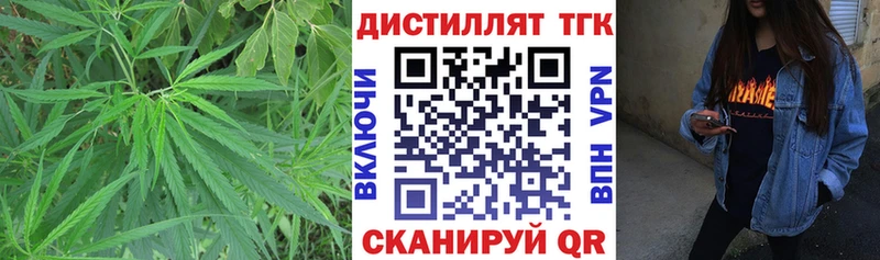 сколько стоит Луга ТГК жижа