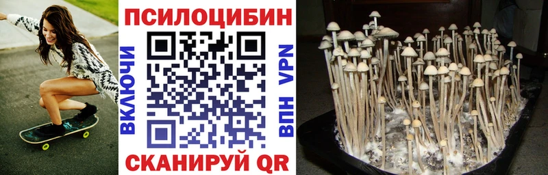 Псилоцибиновые грибы ЛСД  Луга 