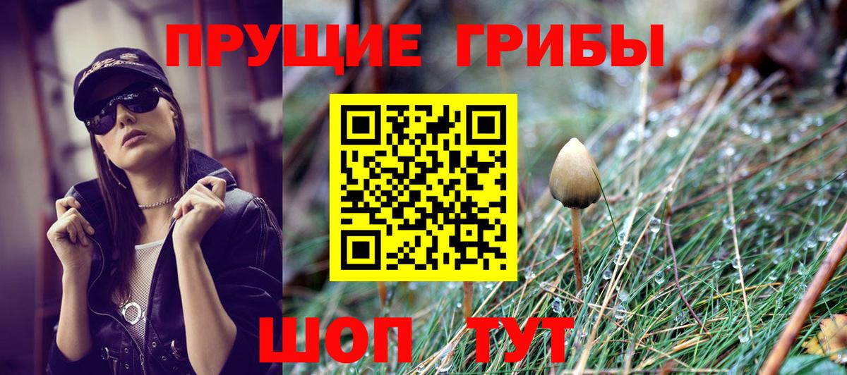 Галлюциногенные грибы прущие грибы  Вход с VPN  Луга  Псилоцибиновые грибы Magic Shrooms 